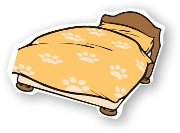 bed