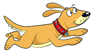 dog