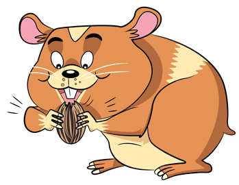 hamster